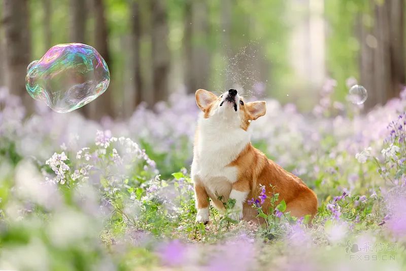 烈士纪念日向人民英雄敬献花篮仪式在北京举行