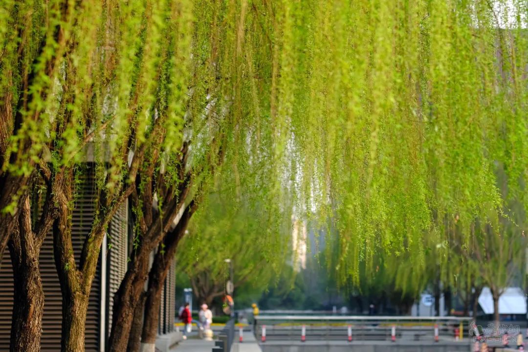 最高法发布人民法院依法审理旅游纠纷典型案例